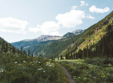 CMF Blog – May 2025 Listing Image – 760 X 560 – Land Trust