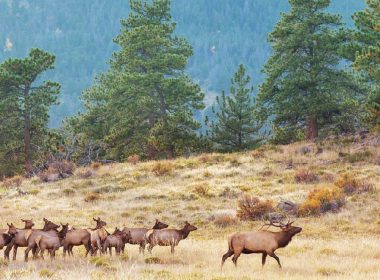 High Country Conservation Advocates